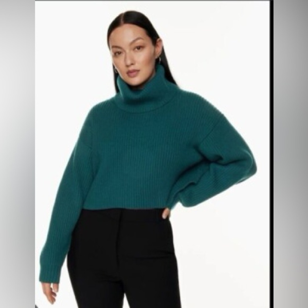 Babaton Guell Turtleneck Sweater